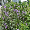 2014_0827DH.JPG