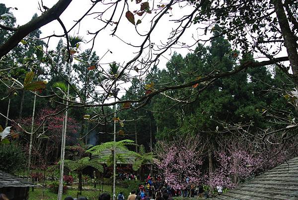 DSC_1489.JPG DSC_1489.JPG