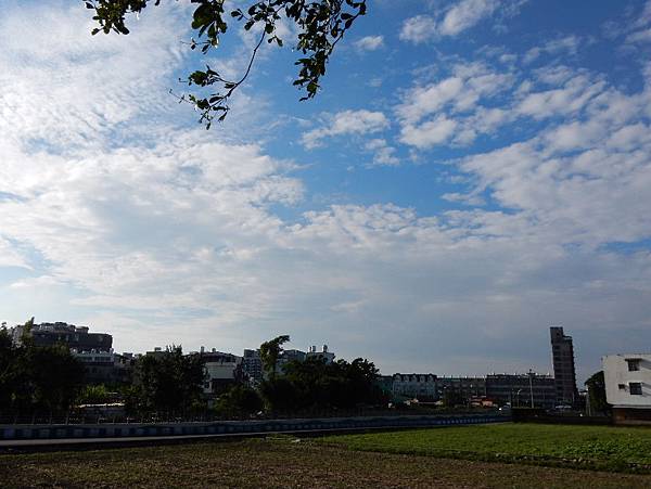 2015_1006BK.JPG 2015_1006BK.JPG