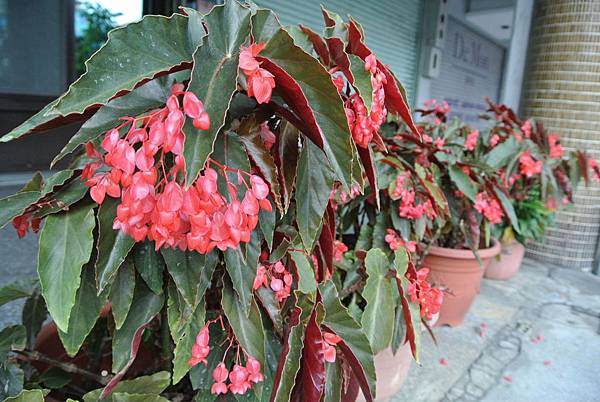 2016_0519AN.JPG 2016_0519AN.JPG