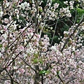201704160051.jpg