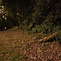200801040020.jpg