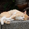 201705050120.jpg