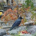 20171018_051.jpg