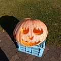 20171019_051.jpg