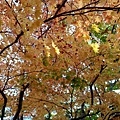 20171019_157.jpg