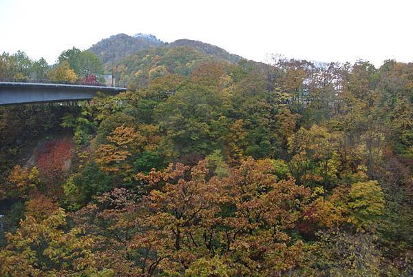 20171018_100.jpg