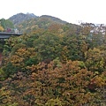 20171018_100.jpg