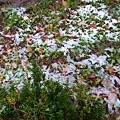 20171018_107.jpg