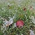 20171018_116.jpg