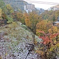 20171018_129.jpg