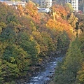 20171018_134.jpg