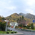 20171018_149.jpg