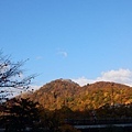 20171018_151 (2).jpg