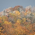 20171018_156.jpg