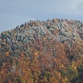 20171018_160.jpg