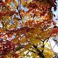 20171018_070.jpg