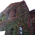 20171019_045.jpg