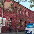 20171019_057.jpg