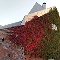 20171019_059.jpg