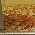 20171017_045.jpg