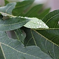 20171227_041.jpg