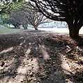 20180331_236.jpg