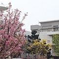 20180319_079.jpg