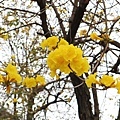 20180319_130.jpg