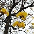 20180319_131.jpg