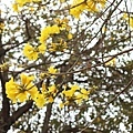 20180319_171.jpg