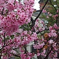 20180316_052.jpg