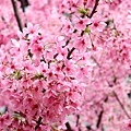 20180316_034.jpg