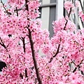 20180316_036.jpg
