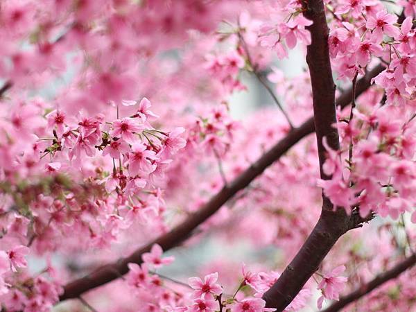 20180316_047.jpg