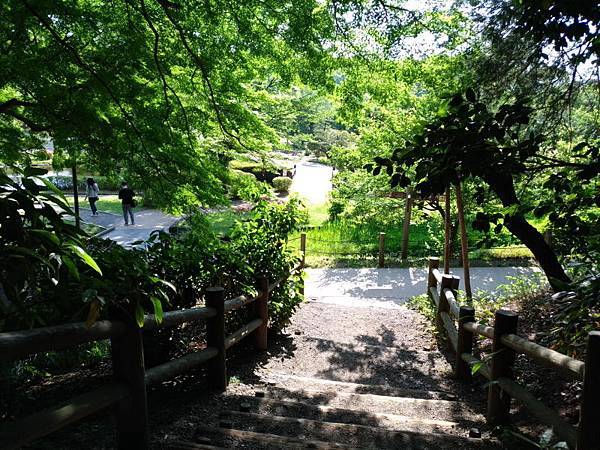 20180521_348.jpg