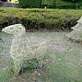 20180522_081.jpg