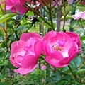 20180522_082.jpg