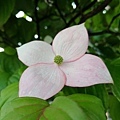 20180522_086.jpg