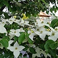 20180522_087.jpg