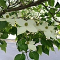 20180522_089.jpg
