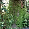 20180522_034.jpg