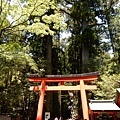 20180522_042.jpg
