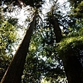 20180522_044.jpg