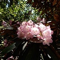 20180522_047.jpg
