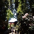 20180522_051.jpg