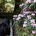 20180522_060.jpg