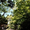 20180522_068.jpg