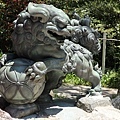 20180522_079.jpg