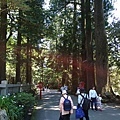 20180522_101.jpg